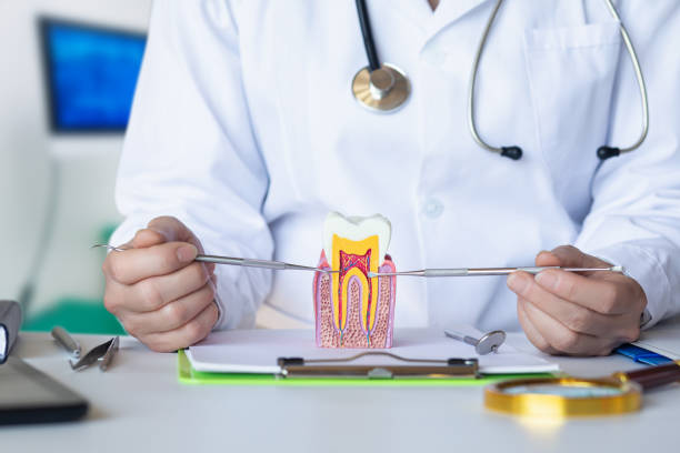 Best Dentist for Tooth Abscess  in Brewton, AL